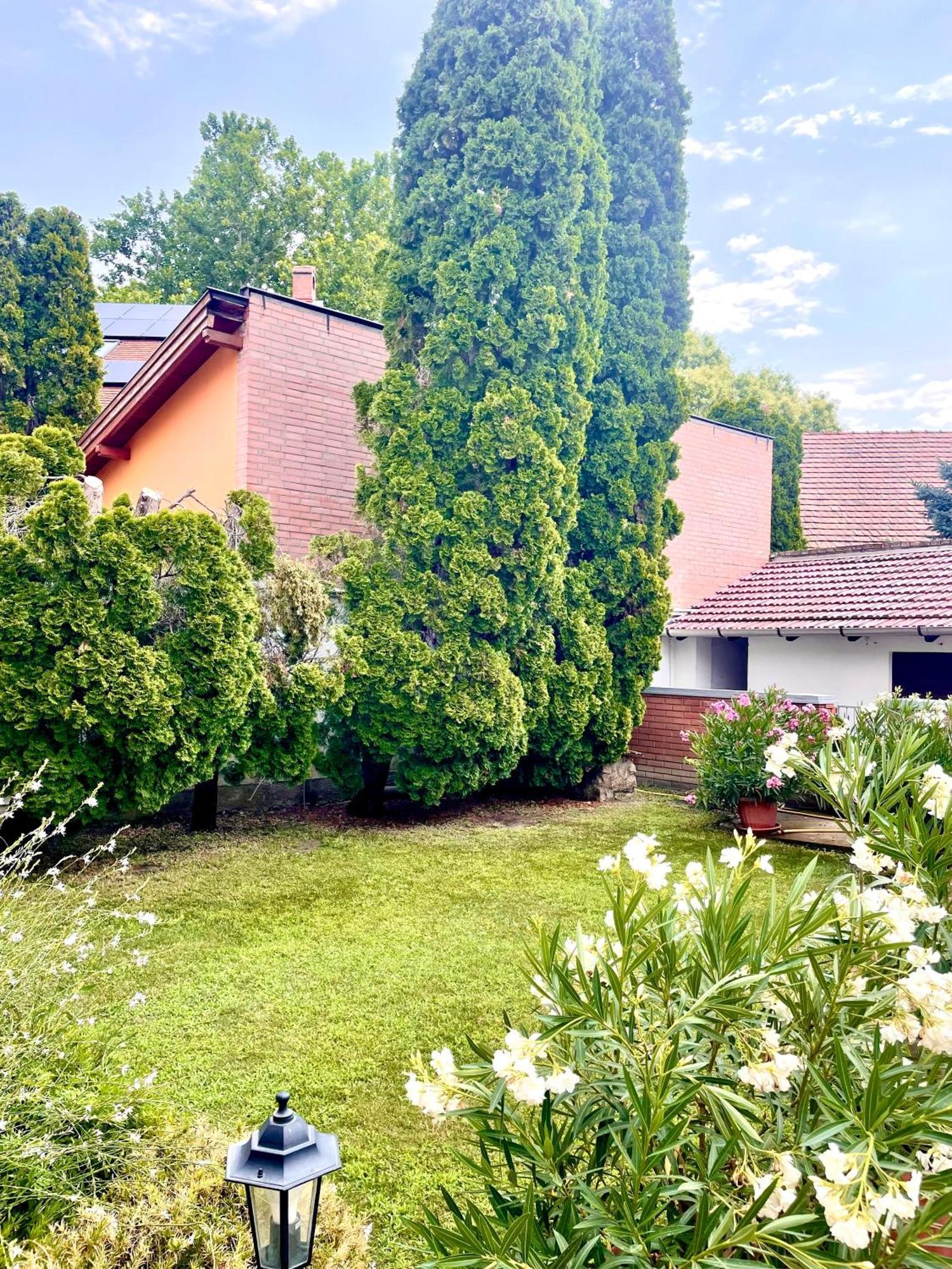 Barat Vendeghaz - Cosy Guesthouse - Teljes Haz Privat Udvarral - 4 Szoba, 2 Fuerdo سيغيد المظهر الخارجي الصورة